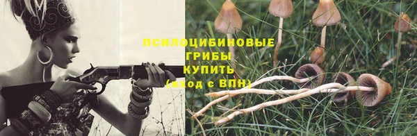 ешки Арсеньев