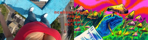 дмт Алексин