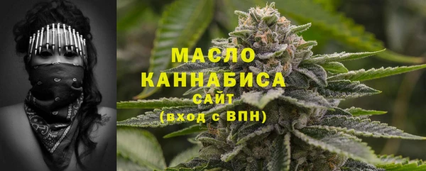 дмт Алексин