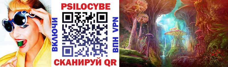 Псилоцибиновые грибы MAGIC MUSHROOMS  наркотики  Прохладный 